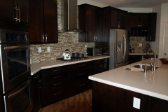 Remodeling Kitchen Surprise